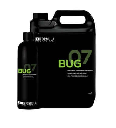 07_Bug